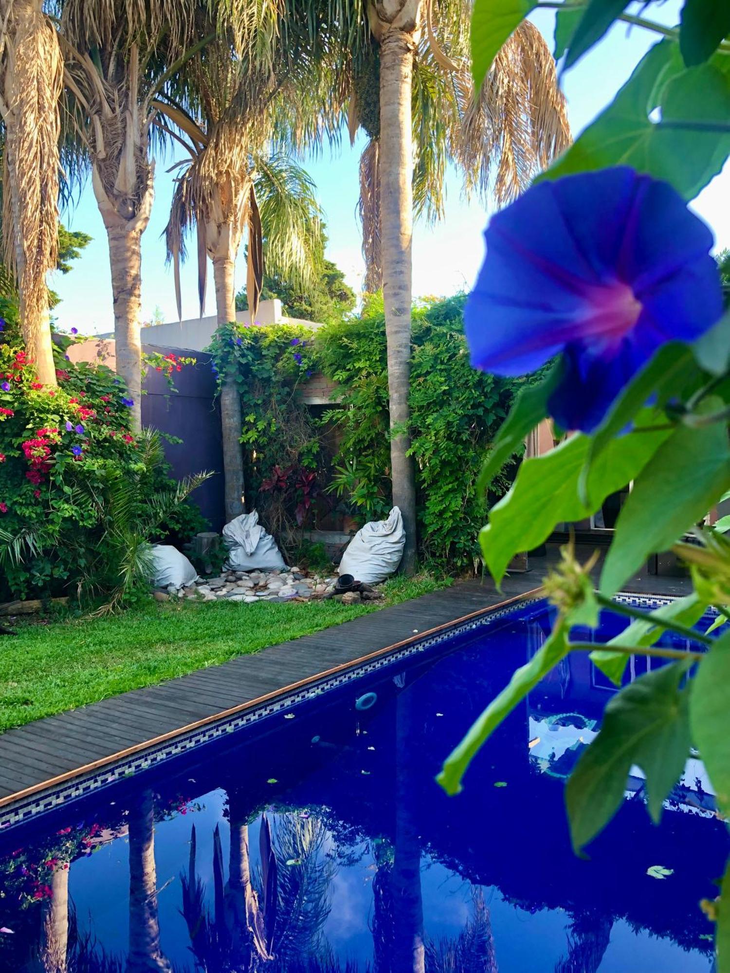 Cool Clima Bed & Breakfast Olivos Exterior photo