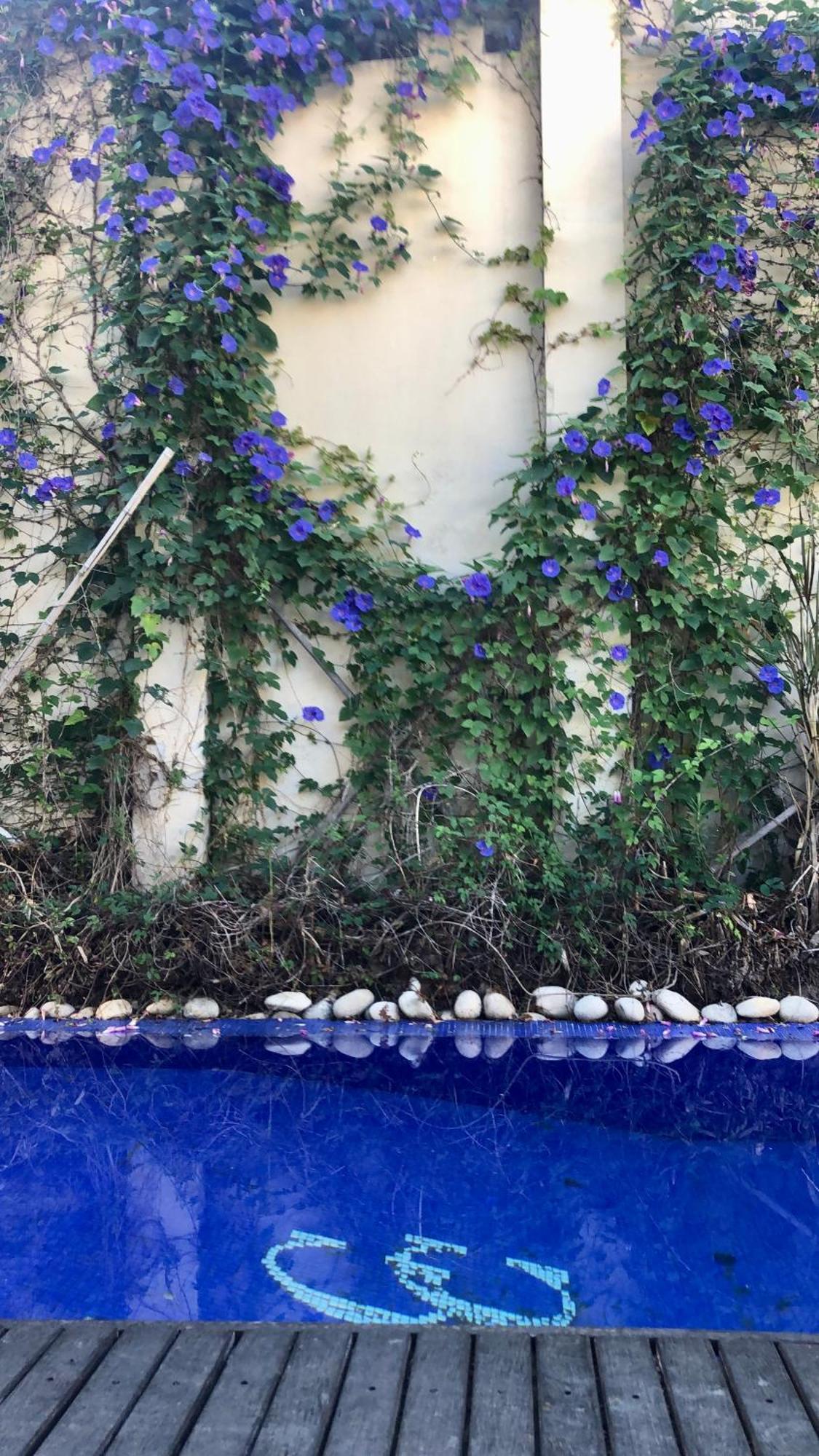 Cool Clima Bed & Breakfast Olivos Exterior photo